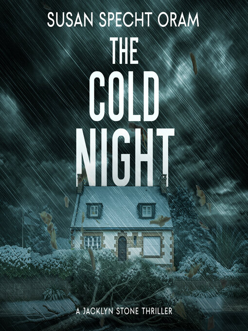 Cover image for The Cold Night